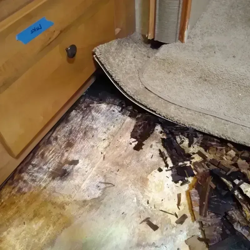 Wood Floor Water Damage in Klahanie, WA